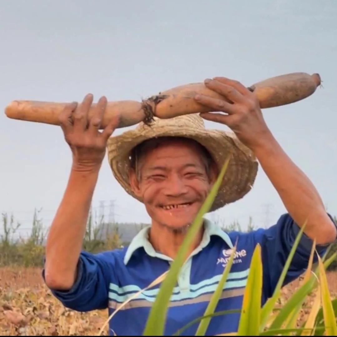 老周卖藕（励志大叔）