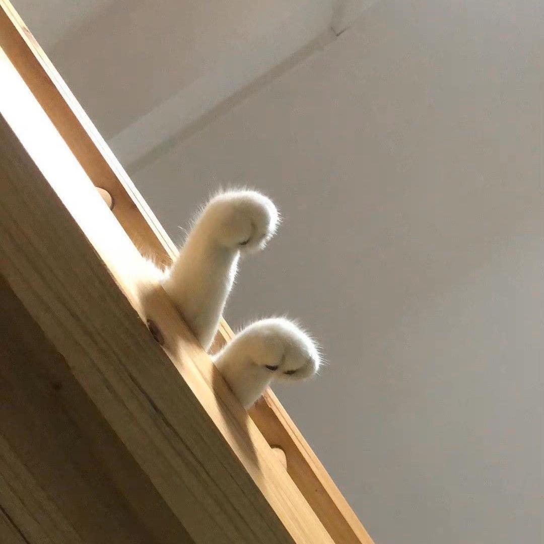 _101