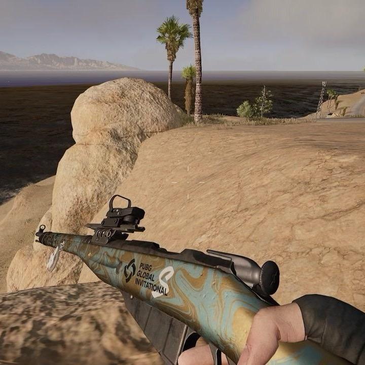 Tony涛～欢乐PUBG