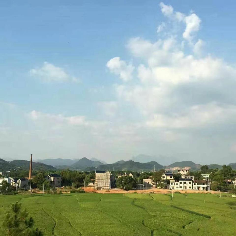 涛声依旧
