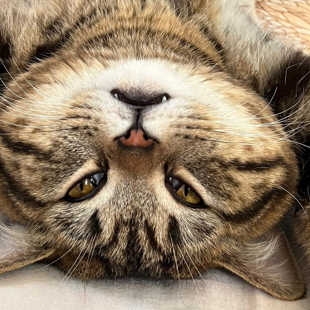 ♧zzzzzzz-