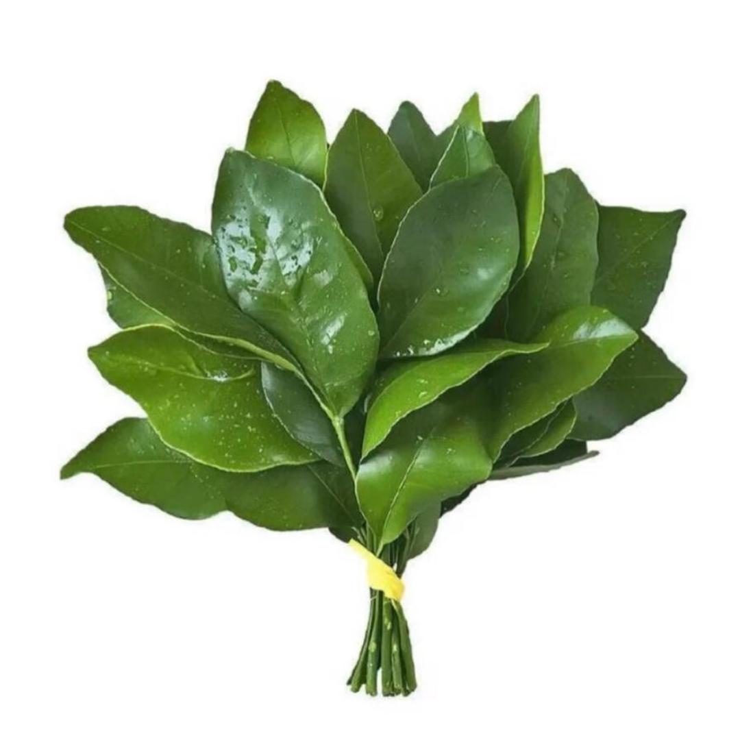 扈扈