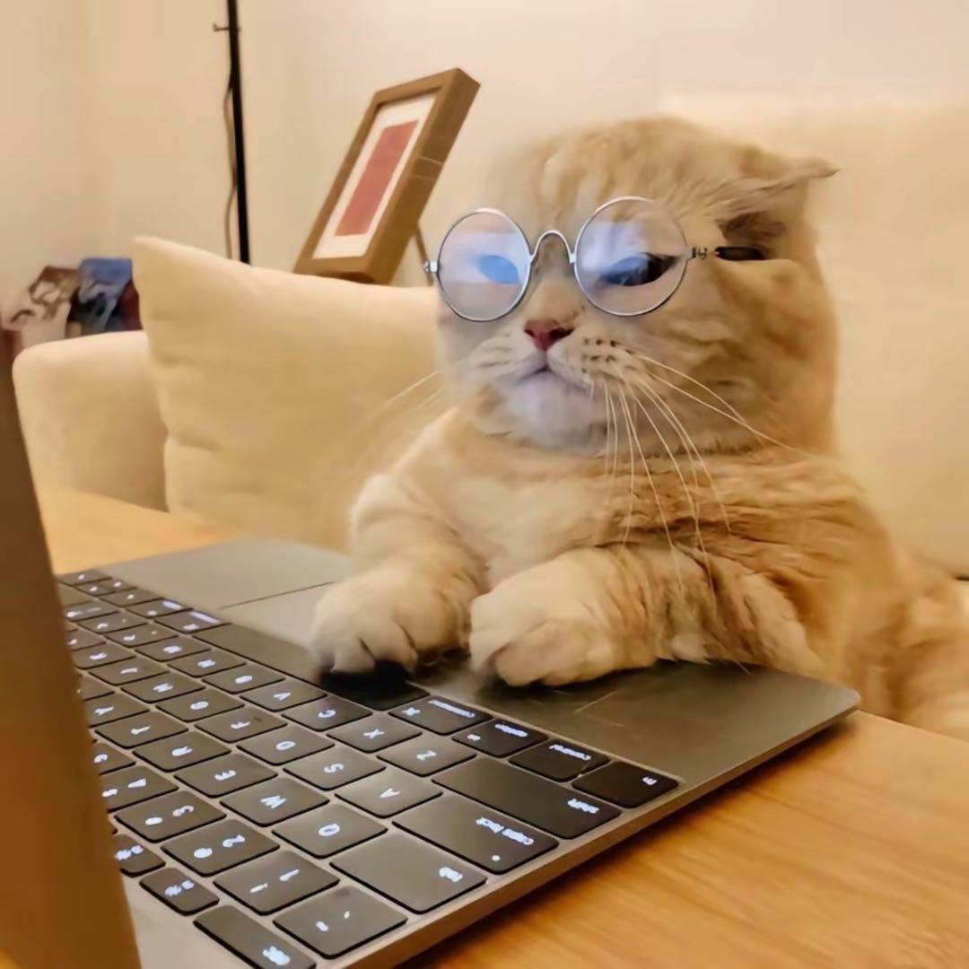 今川