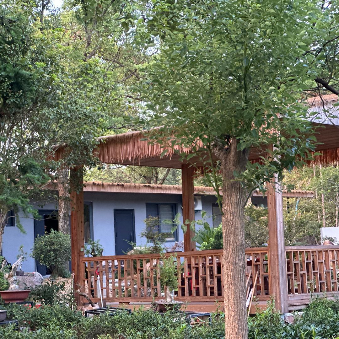 茶园王子-茶叶茶仓