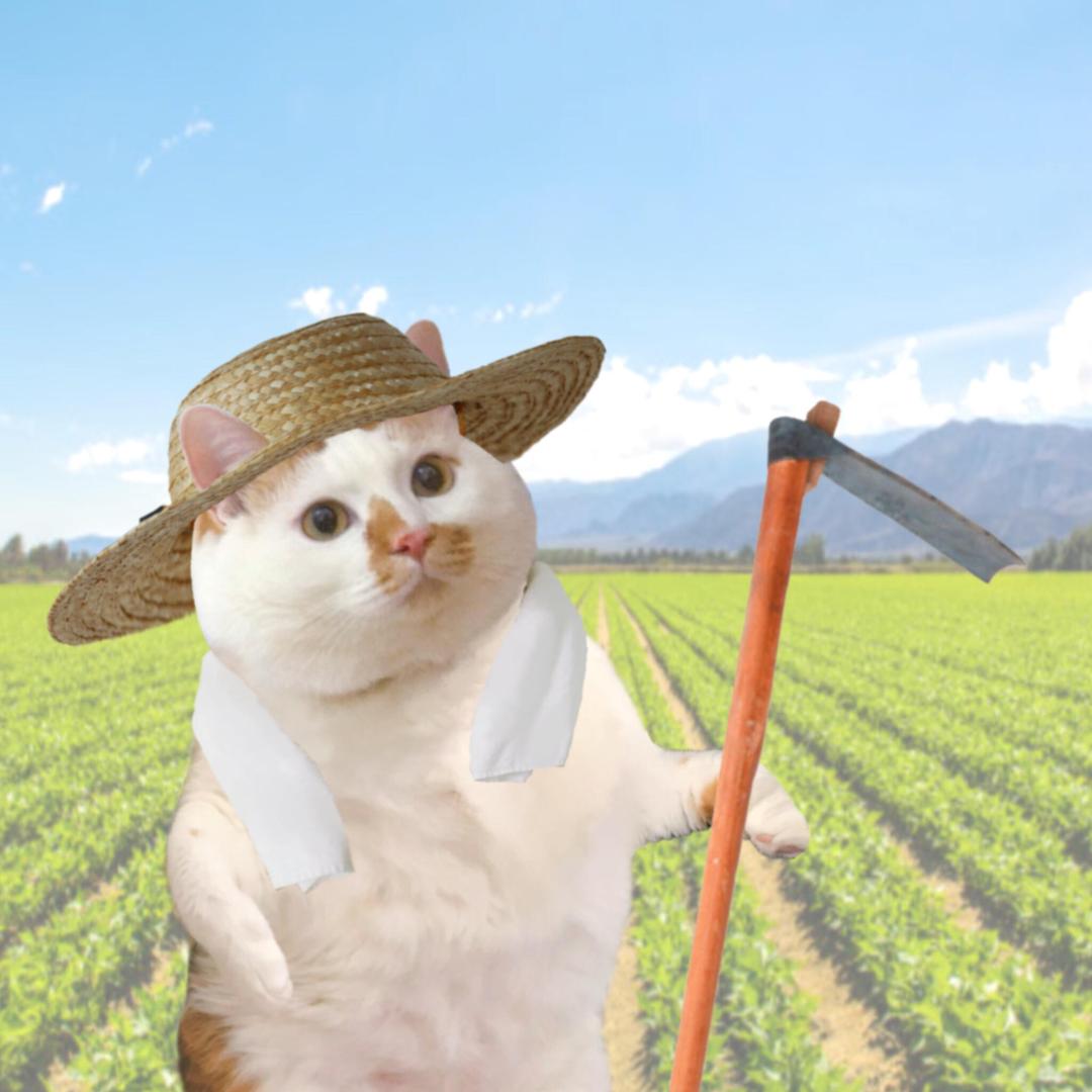 大福（种地版）