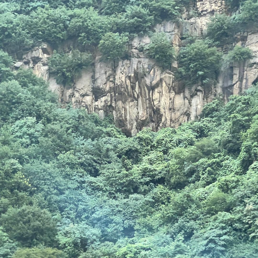 淡默