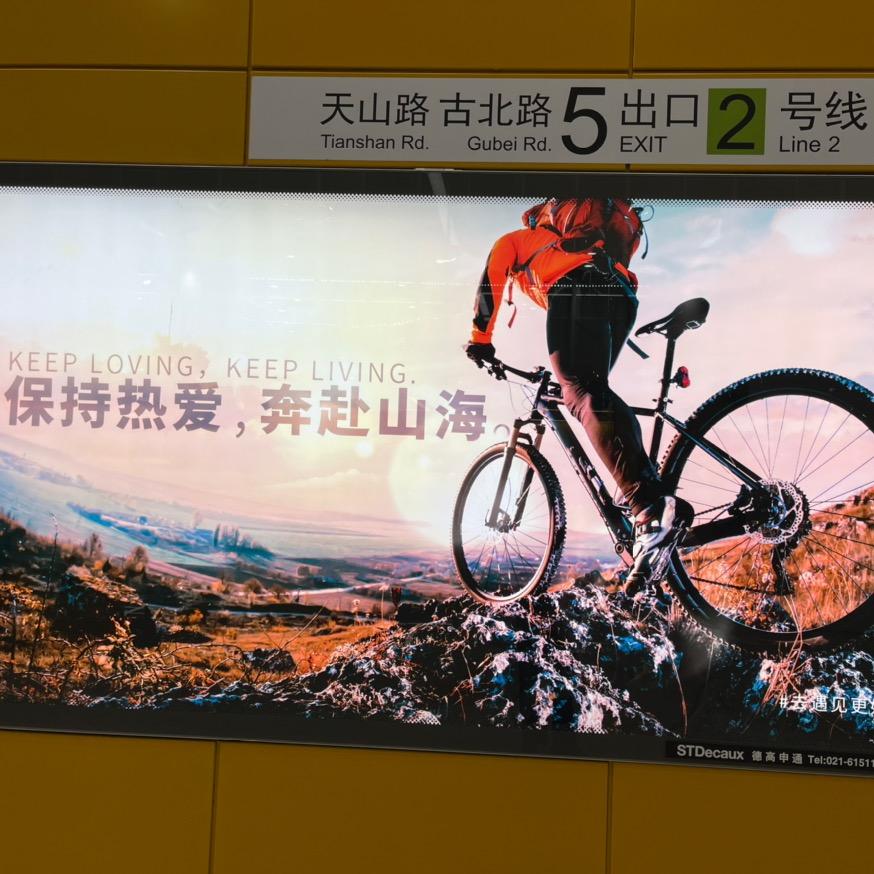 江畔月歌