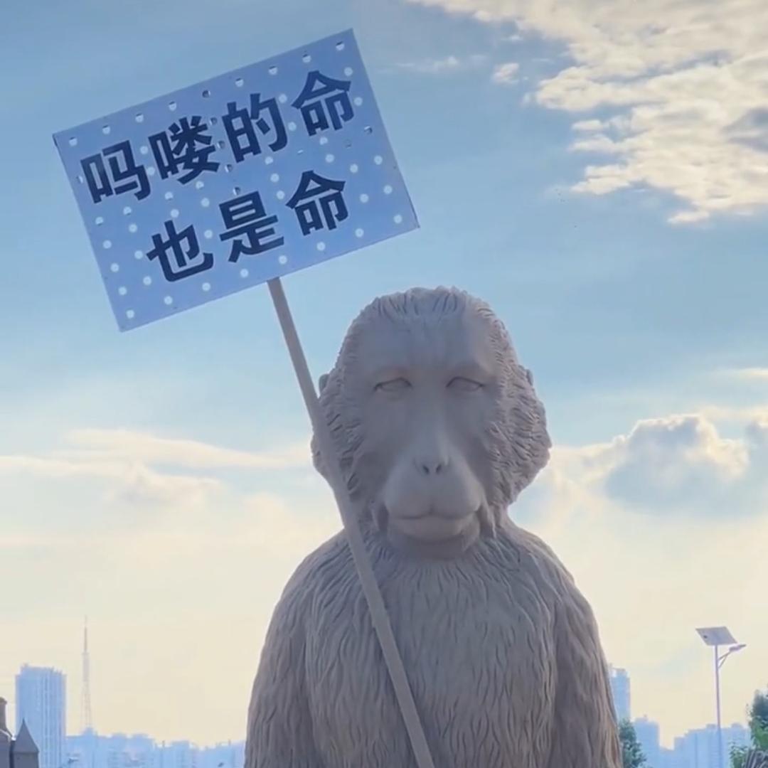 吗喽哥🐒(水鱼文化）