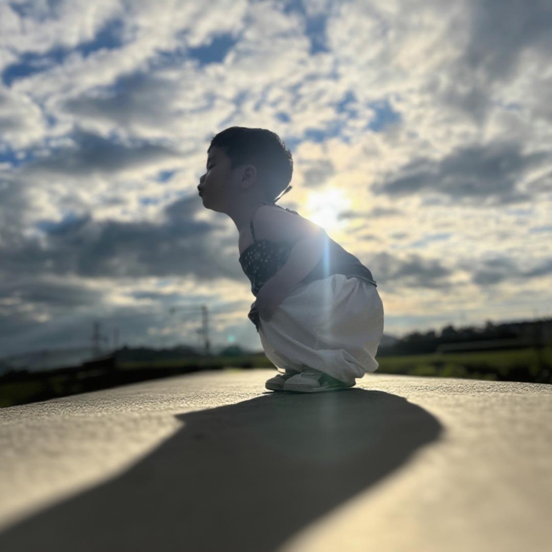 春天的温柔长满了枝头