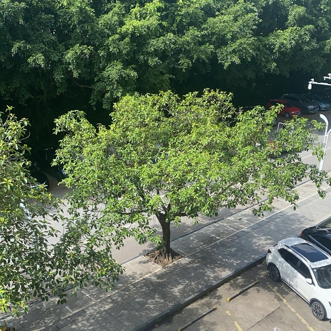 旅途中的快乐