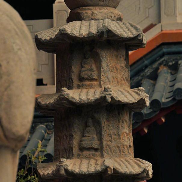 向阳而生