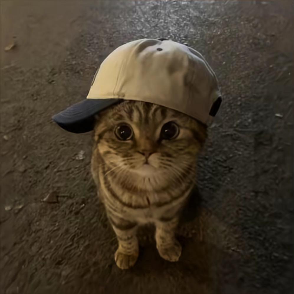 四点半再睡