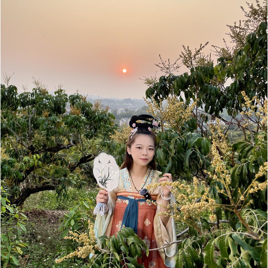 贵妃醉果