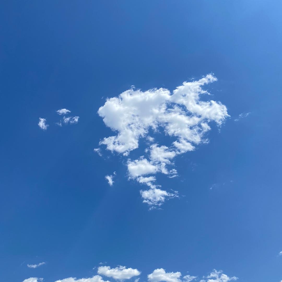 @初九呀
