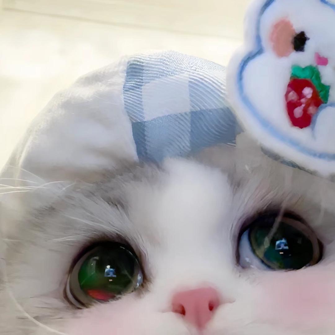 lin.zi