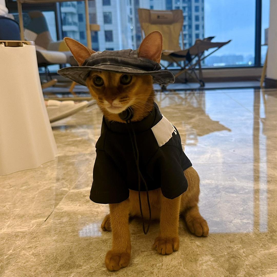 不错真不错
