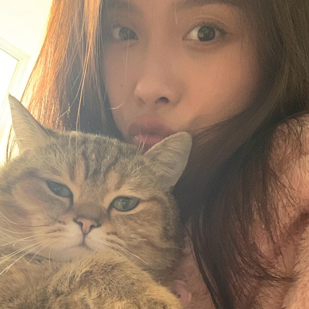 热情小狗