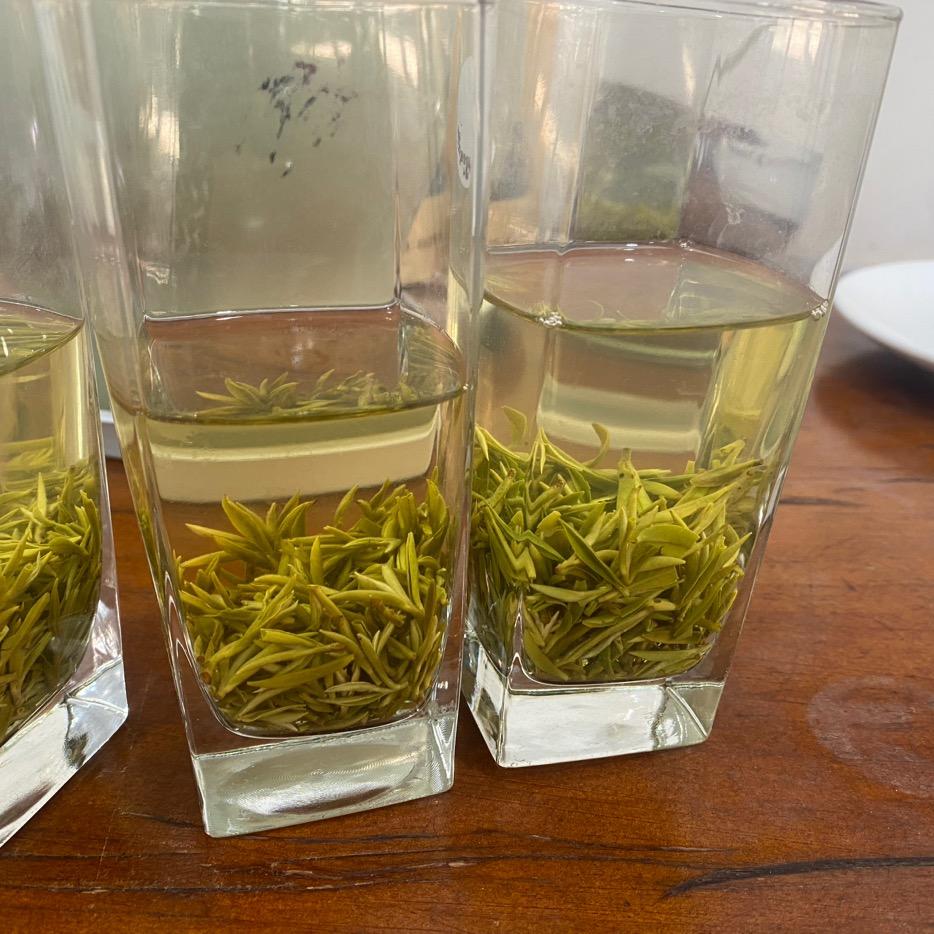 蒙顶山茶