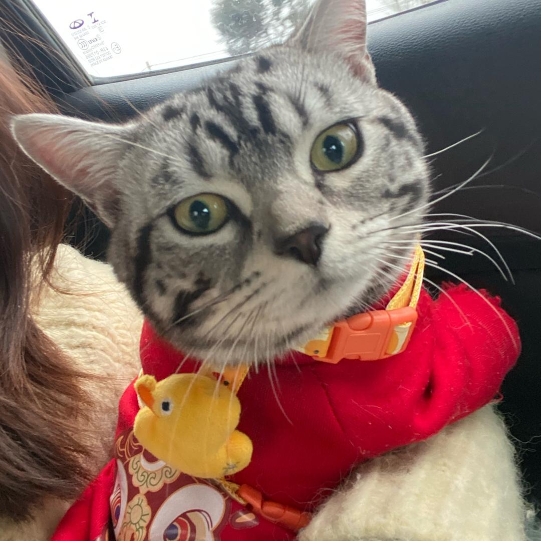 豆汁汁