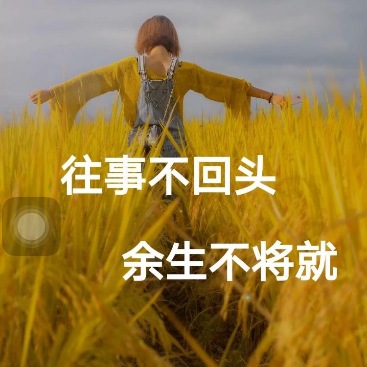 晓晓