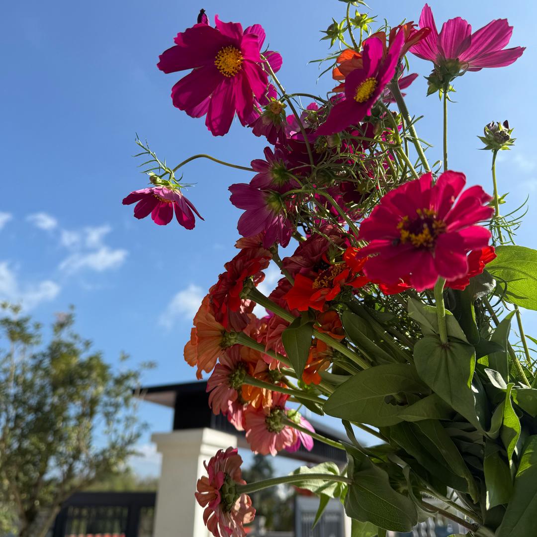 贵阳市喷水池苏宁易购李筑华