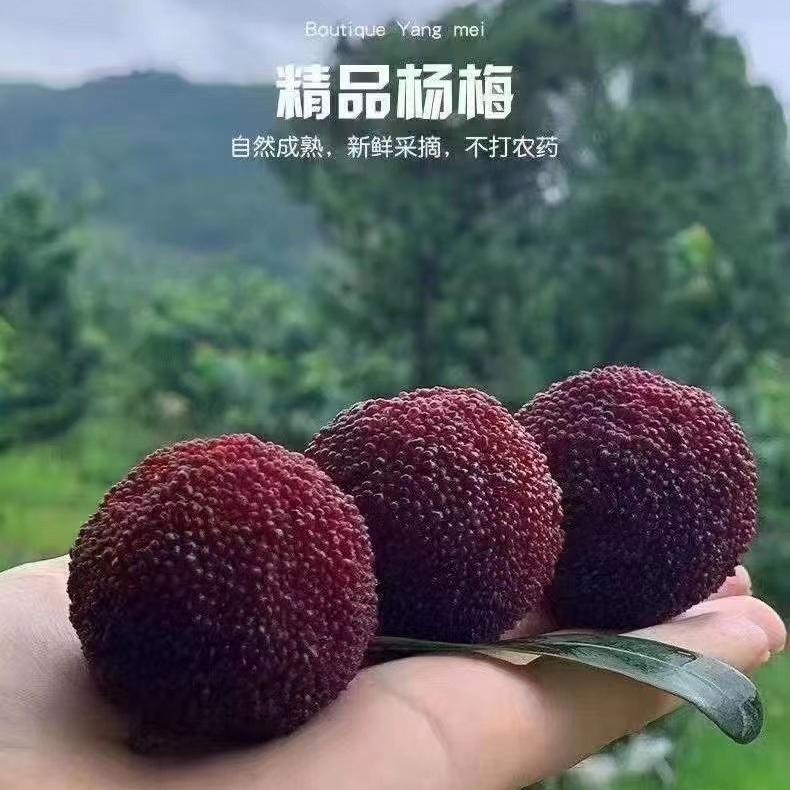 馨玥生鲜