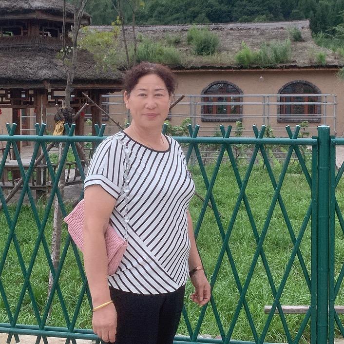 阳光彩虹小白马