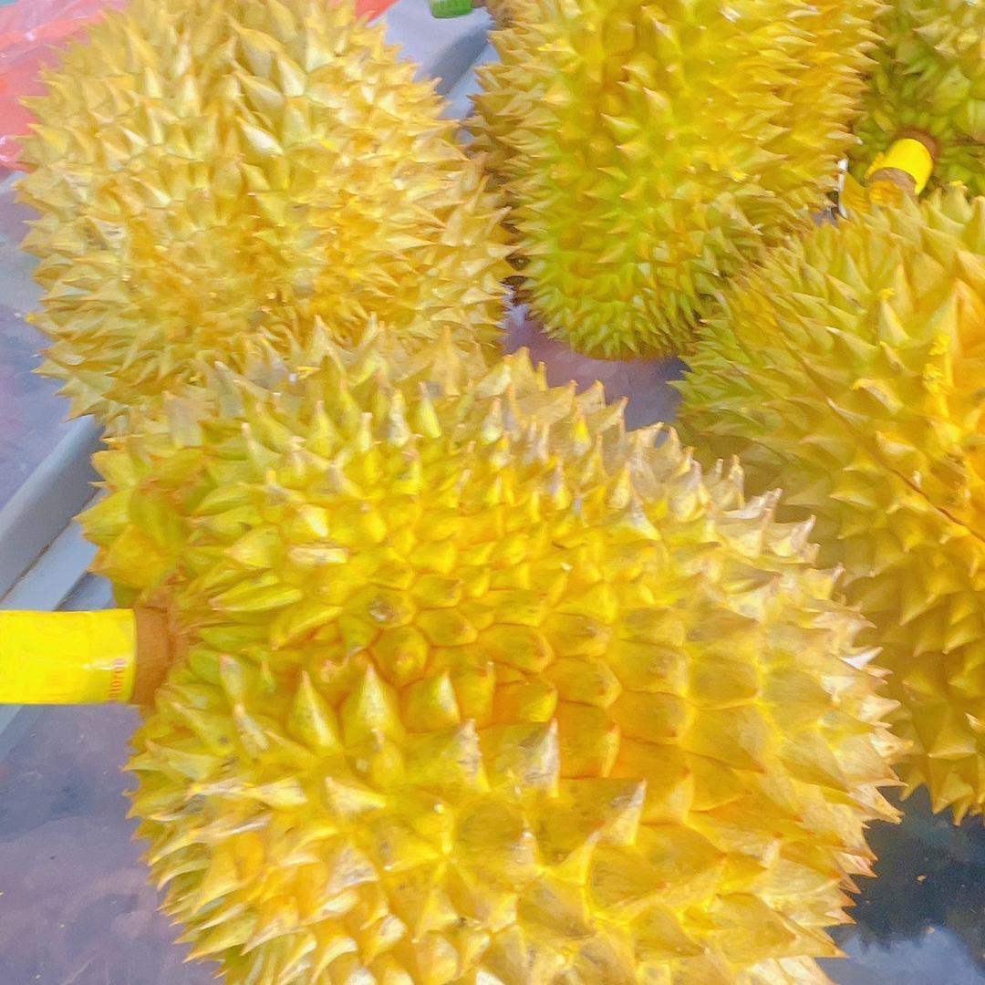 辛集优释水产店