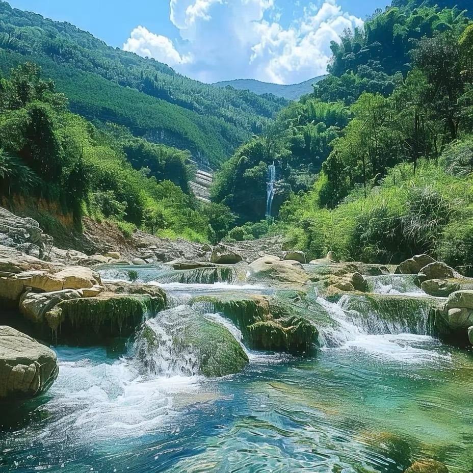 清净无为（关注回复）