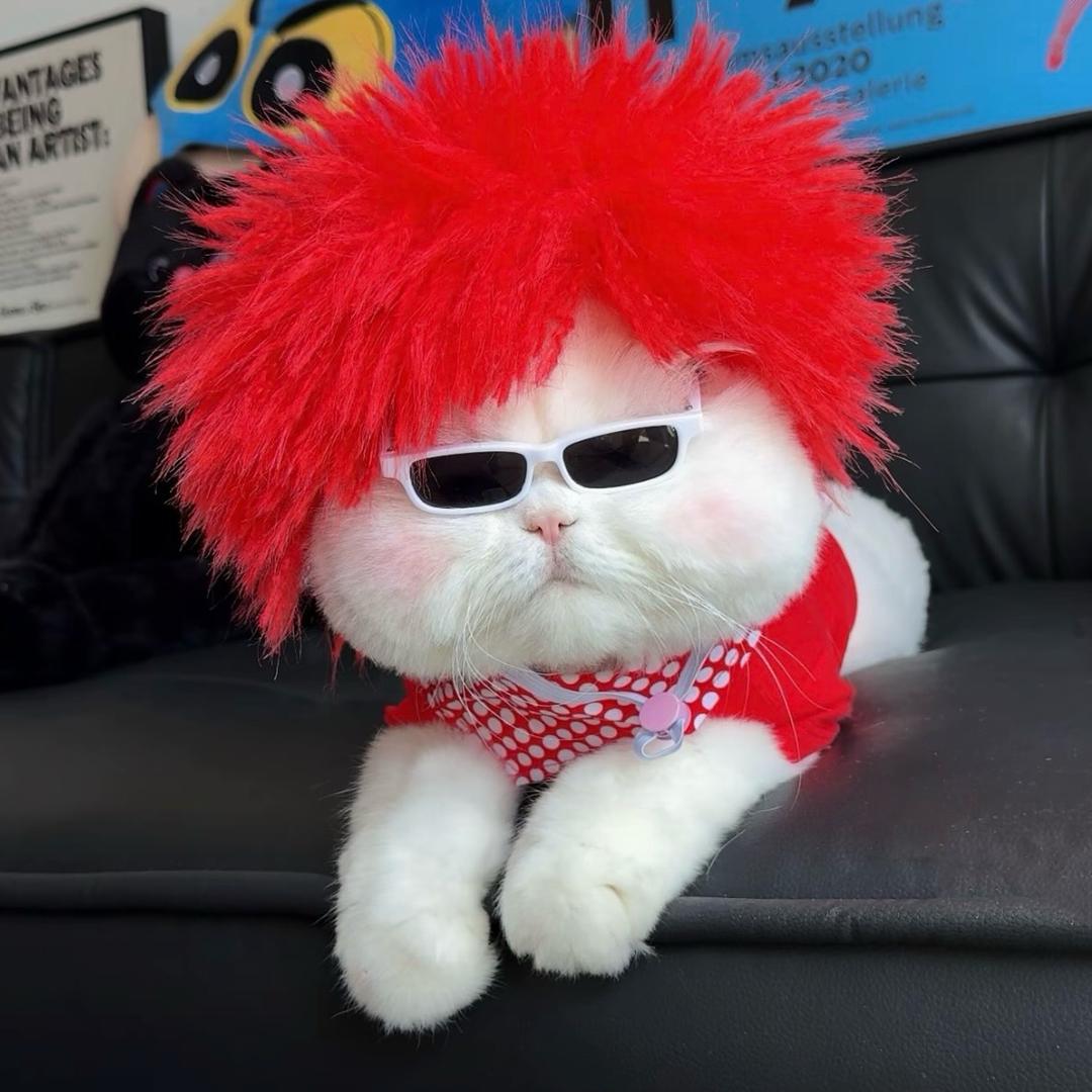 柚子拆卡咯(抽子版)