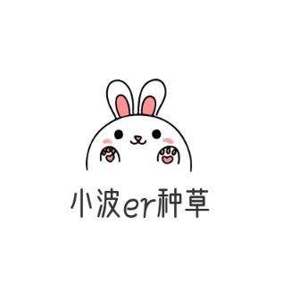 小波er种草🌱