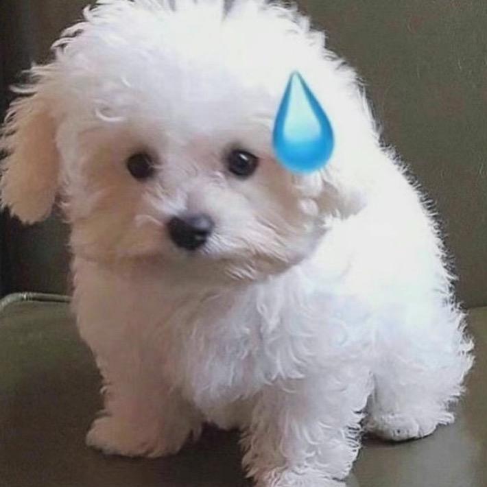 噼里啪啦？
