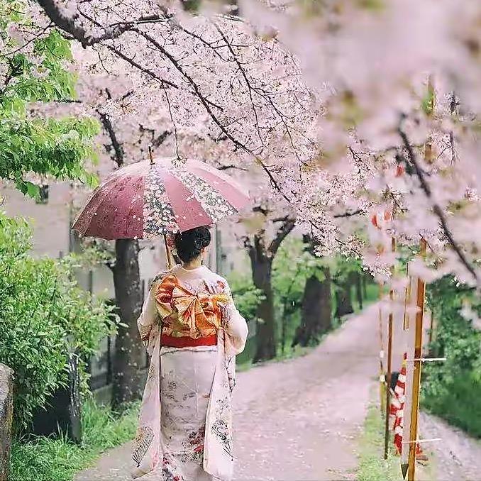 阳子婆婆日系好物