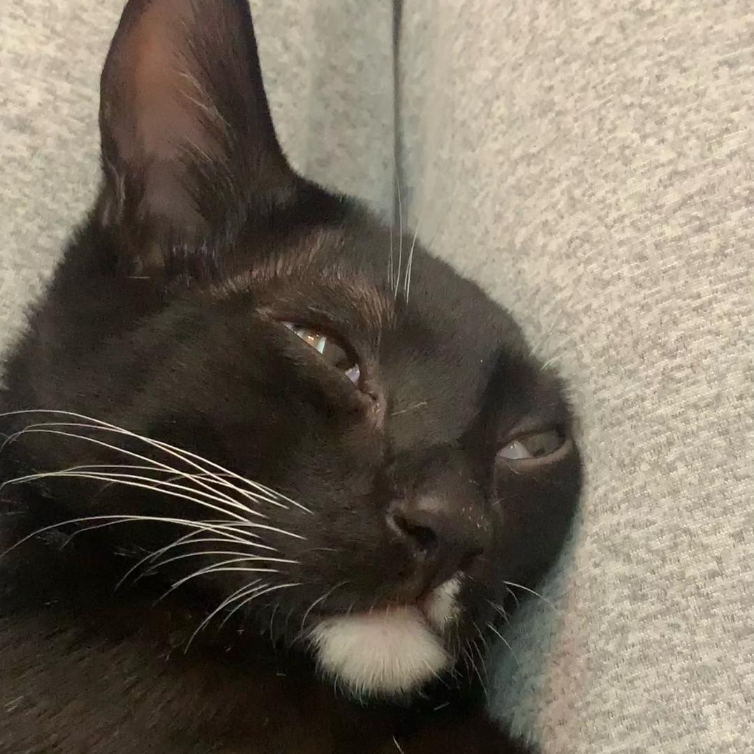 美丽动人的大肠