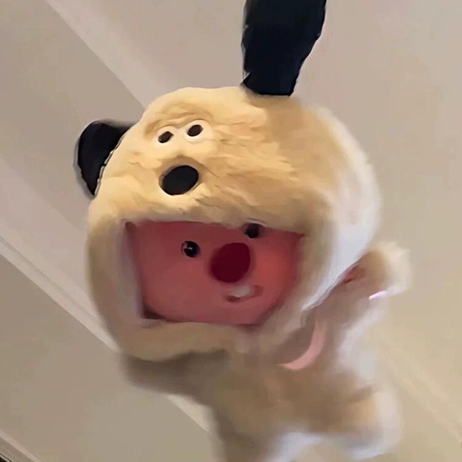 Roki