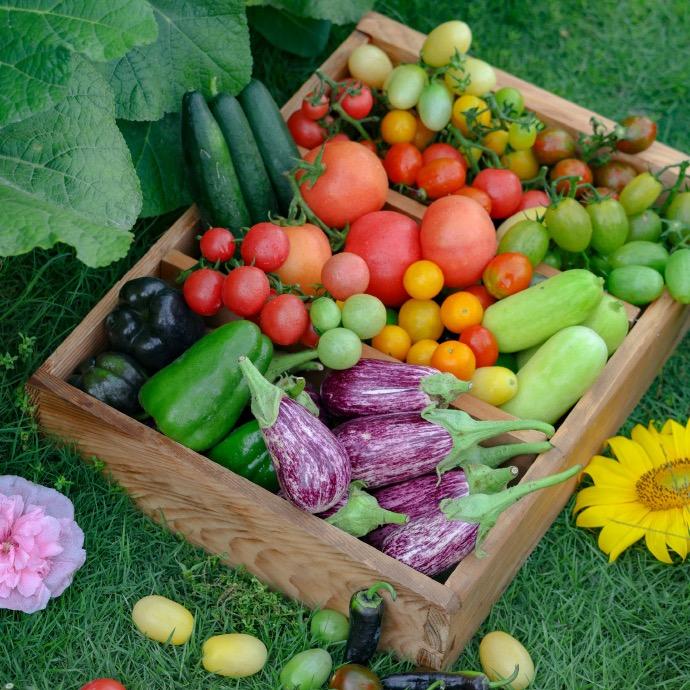 盼姐的生活日常