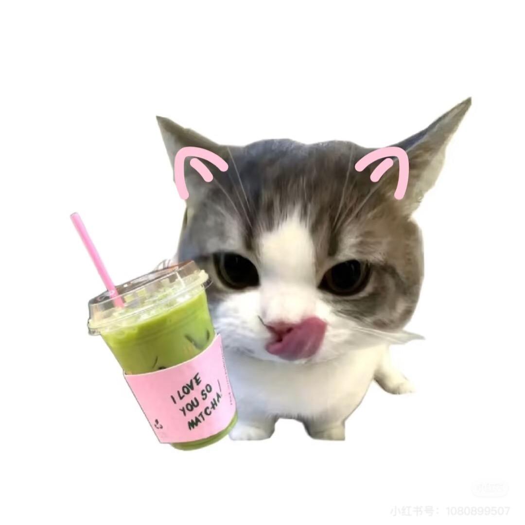 小小