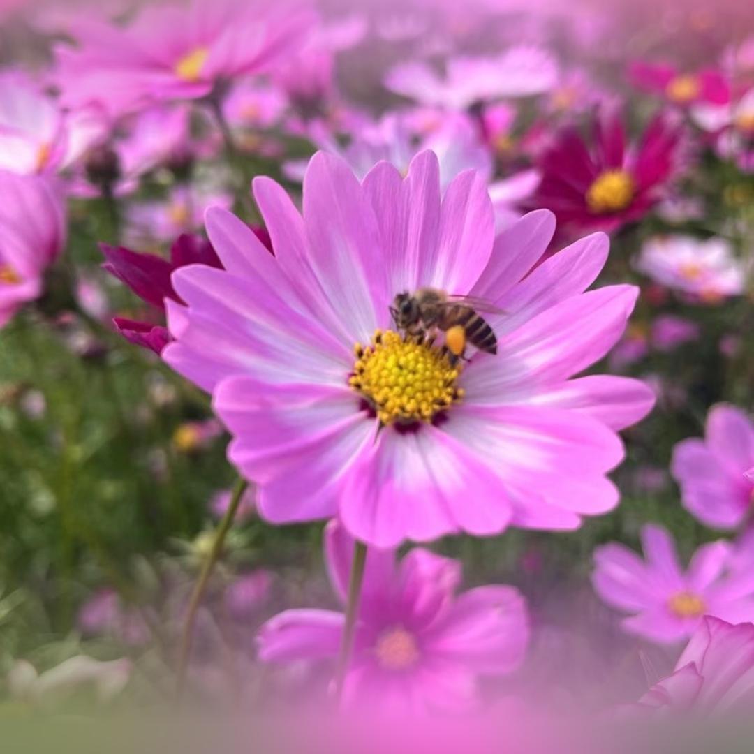 春夏秋冬的温暖