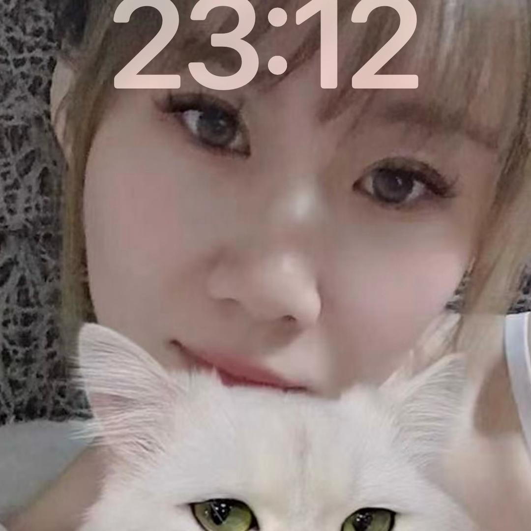 东北小辣椒🌶️