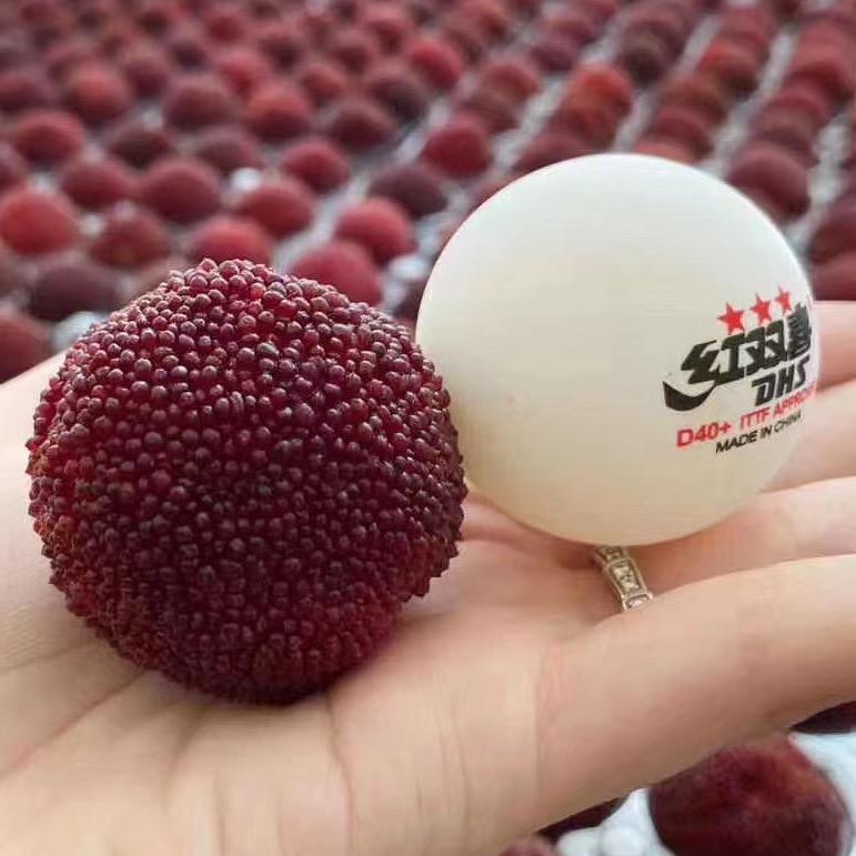 一路发蔬菜水果农场基地