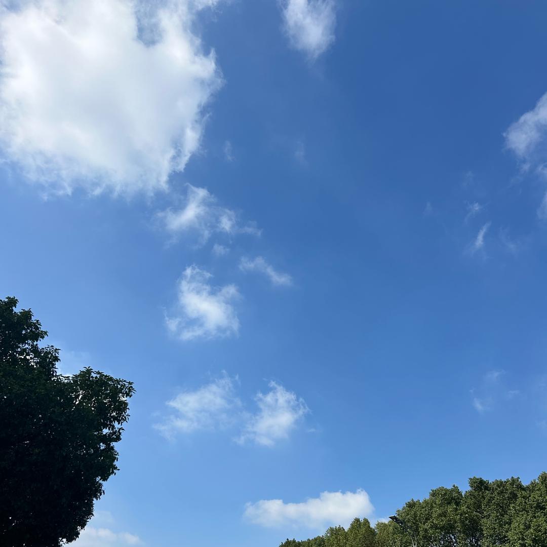 小丁丁丁