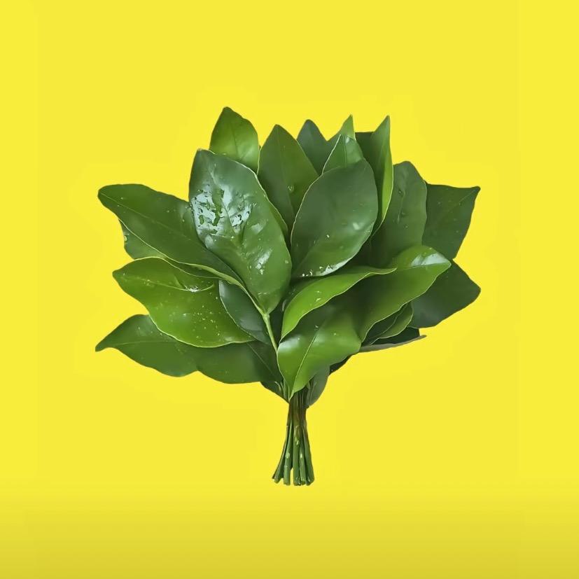 年糕涂涂