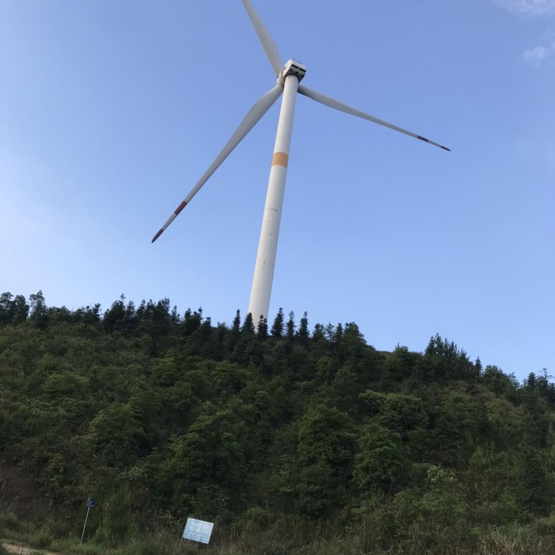 康英英