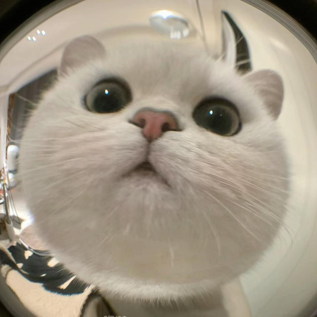 厦门上门美甲美睫