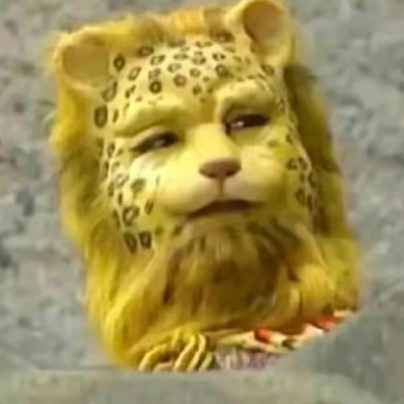 赳赳