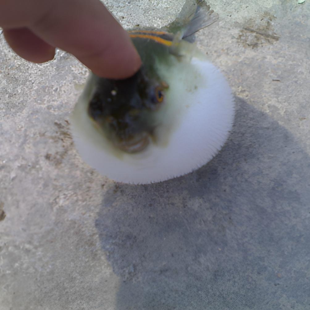 爱钓鱼的蒋某人