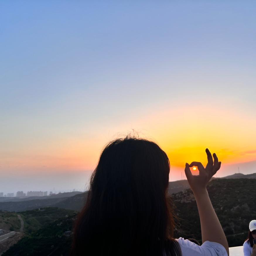 小张不吃肉🌾