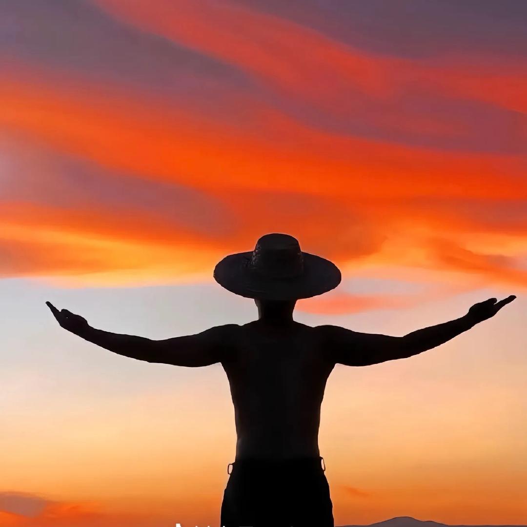 🐾杨  叫  兽➰