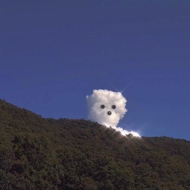 7,