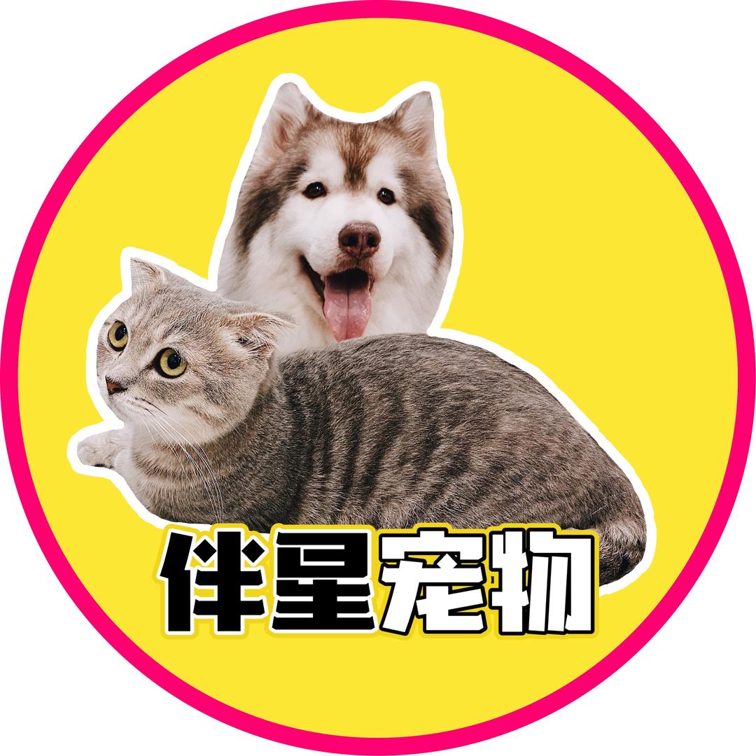 伴星宠物用品
